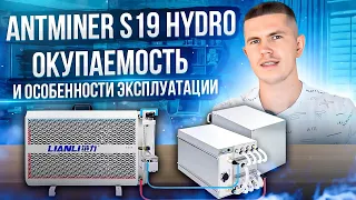 Antminer S19 HYDRO | Окупаемость и особенности эксплуатации