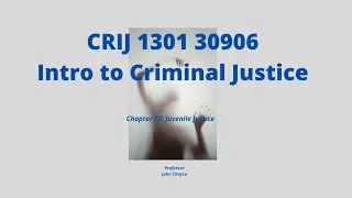 CRIJ 1301 30906 Intro to Criminal Justice Chapter 13