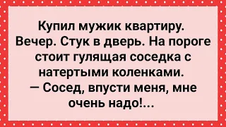 К Мужику Пришла Соседка с Натертыми Коленками! Сборник Свежих Анекдотов! Юмор!