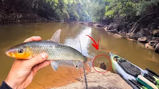 ERA PARA SER UMA SIMPLES PESCARIA CAIPIRA DE PIAU, MAS O PERIGO NOS CERCAVA POR TRÁS DAS PEDRAS...