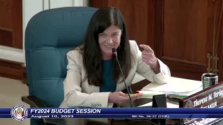 37th Guam Legislature FY2024 Budget Session - August 10, 2023 PM