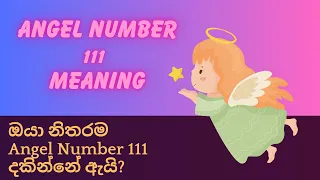 ඔයා නිතරම Angel Number 111 දකින්නේ ඇයි? Angel Number 111 Meaning ✨👼