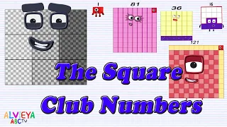 Square Club Big Numbers - 1- 900