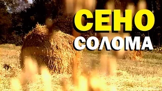 Галилео. Сено-солома