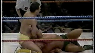 Greg Gagne vs Ronnie Garvin