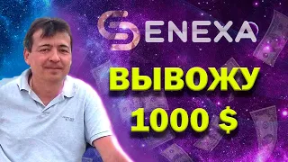 Как вывести деньги с Senexa. Вывод 1000$ c Сенекса. Платит ли Senexa или скам.