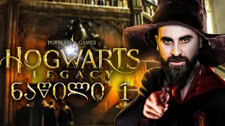 ჰოგვარტსში ჩავირიცხე / Hogwarts Legacy ქართულად