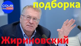 Жириновский лучшая подборка coub youtube