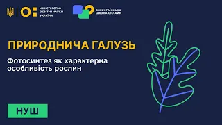 Природнича галузь. Фотосинтез як характерна особливість рослин