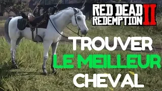 RED DEAD REDEMPTION 2 - TROUVER ET CAPTURER LE MEILLEUR CHEVAL DU JEU