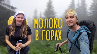 Похід Карпатами: Дурнинець - Дурня 🏔 Потрапили в "молоко"!  Братківський хребет (Ґорґани) #2