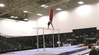 Yul Moldauer - Parallel Bars - 2024 Winter Cup - Men Day 2