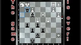 The Best Neil chess (H-14!.. 25). Самоубийство белой королевы. Мат белым на 25-ом ходу.