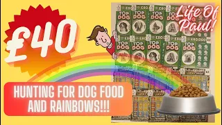 I'm hunting for Dog Bowls and Rainbows on Scratch Cards! Will we strike it rich?