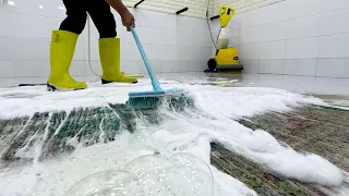 The INCREDIBLE Recovery of a FLOODED RUG | Satisfying Carpet Cleaning