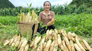 FULL VIDEO: Harvest white radish, sour ears, bamboo shoots goes to the market sell | Make new stairs