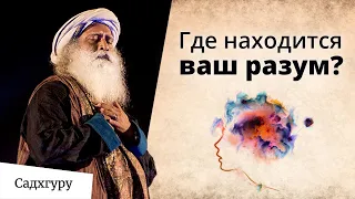 Вы думаете, что разум находится в голове?