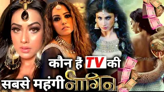 Who is the most expensive Actress of Naagin Series