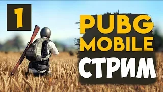 Pubg Mobile — Стрим | Официальный эмулятор