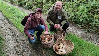 Na grzyby #113  Grzybobranie z @druidseye Borowiki szlachetne, Prawdziwki.