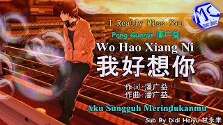 Wo Hao Xiang Ni/Aku sungguh merindukanmu (TextMandarin/Phingin/TerjemahIndo)