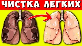 Мощнейшая Очистка Лёгких Дома + 3 напитка выводящих Токсины из легких