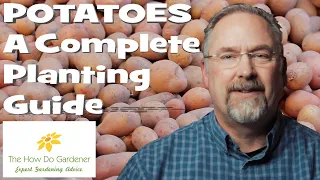 Planting Potatoes - A Complete Planting Guide
