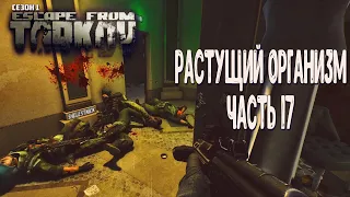 ТАРКОВ ПРОКАЧКА С НУЛЯ ЧАСТЬ 17 / РАСТУЩИЙ ОРГАНИЗМ ESCAPE FROM TARKOV