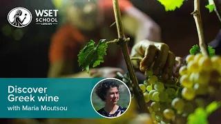 Discover Greek wine with Maria Moutsou