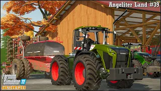 Weeding. Sowing Wheat and Rolling🔹Angeliter Land Ep.39🔹Farming Simulator 22