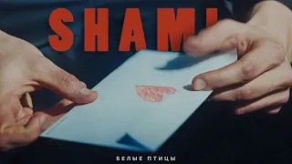 SHAMI - Белые птицы (Премьера клипа, 2022)