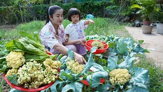 Cute girl Siv chhee help to harvest vegetable for cooking - Family food cooking