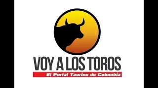 La verdadera Historia de Amoroso, el Toro de Lidia, en Voy a Los Toros