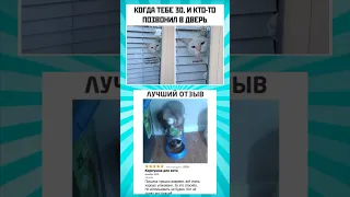 Мемасики про котиков часть 77 #meme #funny #shorts