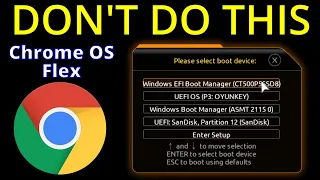DON'T INSTALL Chrome OS Flex onto a Windows PC with more than one drive to dual boot - HERE'S WHY!