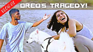 OREO'S TRAGEDY | VLOG 01 | @Sarasoni98