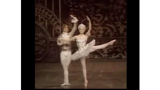 Final Pas de Deux - 'The Nutcracker'