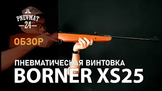 Пневматическая винтовка Borner XS25 (дерево)