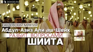 Главный муфтий Саудовской Аравии Абдул-Азиз Али аш-Шейх разбит вопросами шиита