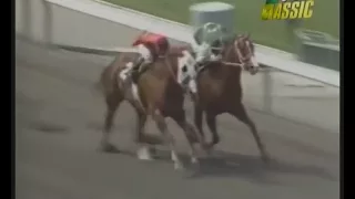 MATCH RACE - Quarter Horse -vs- Thoroughbred