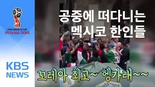 “꼬레아앜 사랑해요!” 멕시코, 한국 승리에 흥분의 도가니 -2018 러시아 월드컵/ KBS