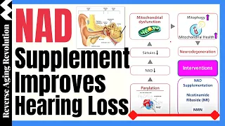 NAD Supplementation Improves DNA Repair, Mitochondrial Dysfunction & Hearing Loss