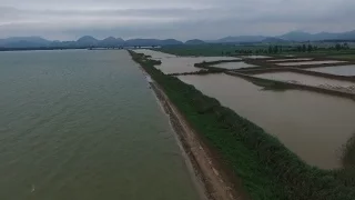 Hundreds of Militia Fend Embankment Against Flooding in China's Hubei Province