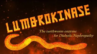 Lumbrokinase: The earthworm enzyme for Diabetic Nephropathy