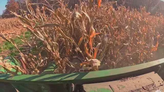 Vintage Corn Picking in Wisconsin - World's Smoothest Running Diesel Combine