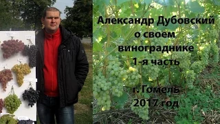 Лекция А. Дубовского (Гомель) о своем винограднике - 1 часть