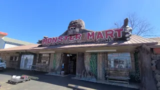 Looking for SASQUATCH! Caddo Lake State Park and Monster Mart