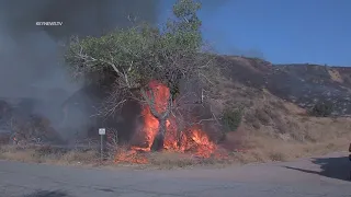 Firefighters Battle Brush Fire in Castaic