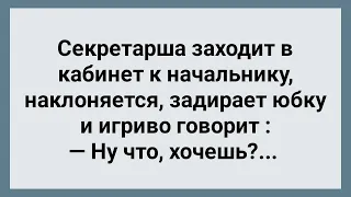 Секретарша Задрала Юбку Перед Начальником! Сборник Свежих Анекдотов! Юмор!