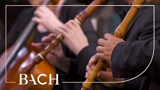 Bach - Sanfte soll mein Todeskummer from Easter Oratorio BWV 249 | Netherlands Bach Society